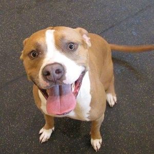 Meet your Posher, Edna